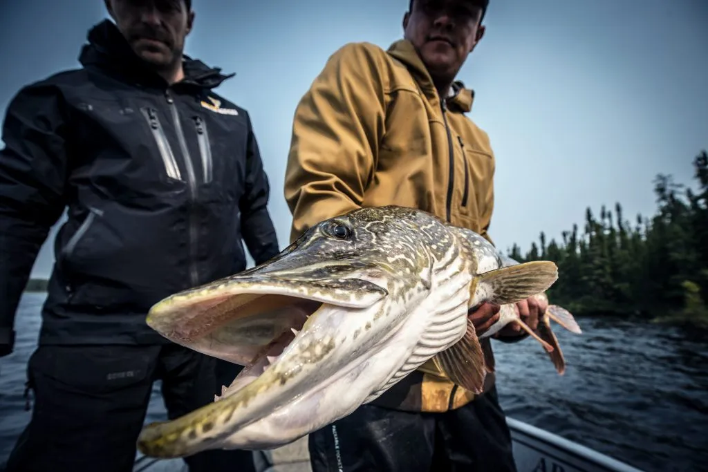 on s'en fish - prestations lacs on s'en fish - prestations lacs